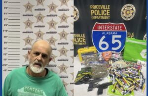 One person arrested following drug bust in Alabama