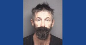 One person arrested following drugs, weapons bust in North Carolina