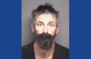 One person arrested following drugs, weapons bust in North Carolina