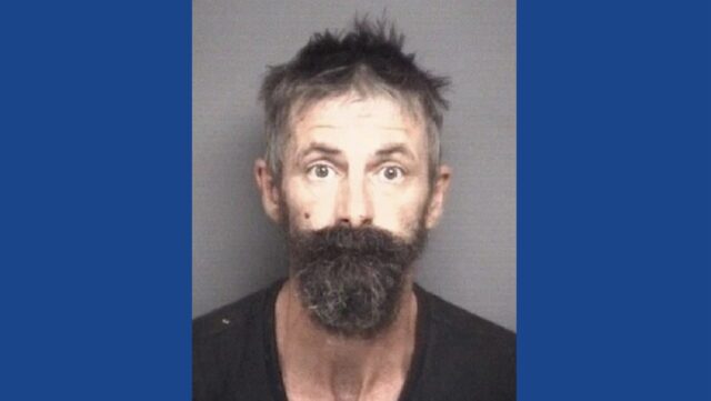 One person arrested following drugs, weapons bust in North Carolina