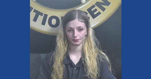 One person arrested following drug bust in Kentucky