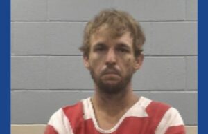 One person arrested after stolen vehicles, firearms seized in Mississippi