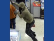 Police searching for four suspects in armed robbery at Tennessee store
