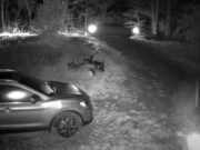 Police investigating trailer theft in Kentucky