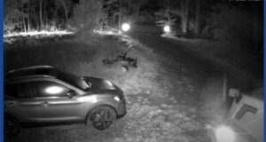 Police investigating trailer theft in Kentucky
