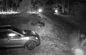 Police investigating trailer theft in Kentucky