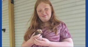 Police searching for missing teen in North Carolina