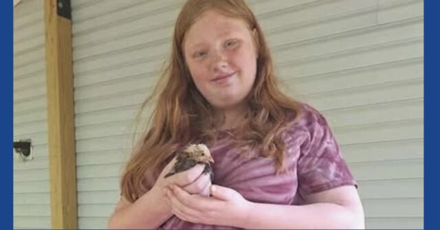 Police searching for missing teen in North Carolina