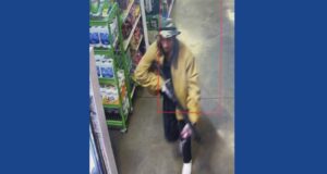Police searching for suspect following shots fired from vehicle in Tennessee