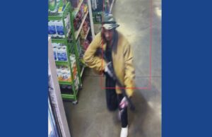 Police searching for suspect following shots fired from vehicle in Tennessee