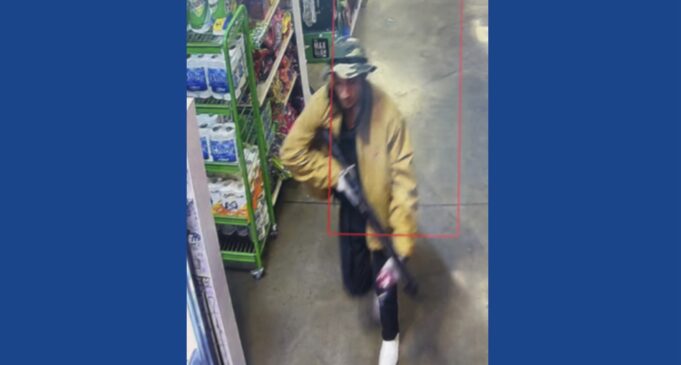 Police searching for suspect following shots fired from vehicle in Tennessee