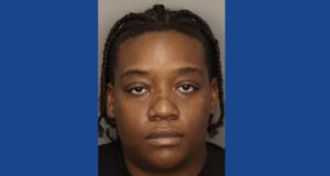 Police searching for wanted theft suspect in Alabama