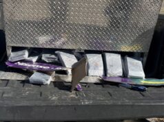 One person arrested following major drug bust in Indiana