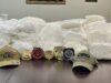 Police make major drug bust in Georgia