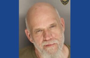 One person arrested after traffic stop leads to drug bust in South Carolina