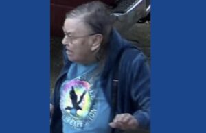 Police searching for missing woman with dementia in Michigan