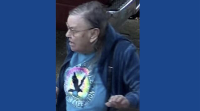 Police searching for missing woman with dementia in Michigan