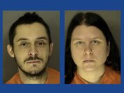 Two people arrested after two dogs found severely malnourished in South Carolina