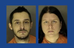 Two people arrested after two dogs found severely malnourished in South Carolina