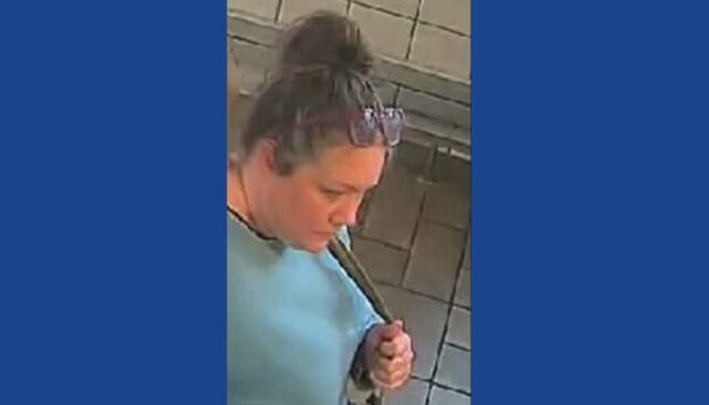 Police attempting to identify South Carolina grocery store theft suspect
