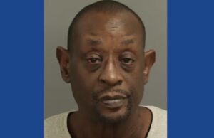 One person arrested after stabbing dog in North Carolina