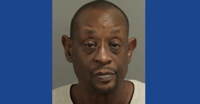 One person arrested after stabbing dog in North Carolina