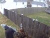 Man steals Christmas tree off porch in Ohio