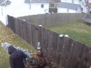 Man steals Christmas tree off porch in Ohio