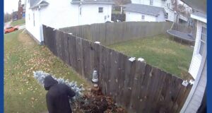 Man steals Christmas tree off porch in Ohio