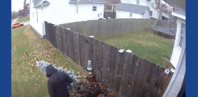 Man steals Christmas tree off porch in Ohio