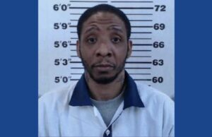 Georgia gang used ice cream truck and bounce houses to lure children, officials say