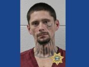 One person arrested following police chase, drug bust in Tennessee