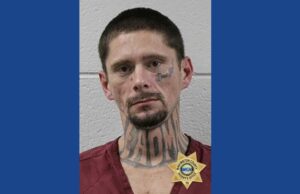 One person arrested following police chase, drug bust in Tennessee