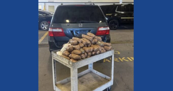 Police seize large amount of meth following traffic stop in Mississippi
