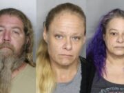 Three people arrested following drug bust in Florida