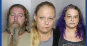 Three people arrested following drug bust in Florida