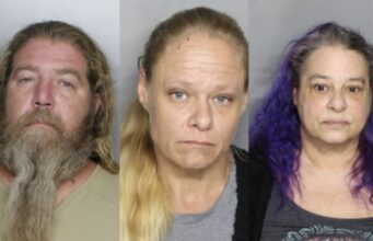 Three people arrested following drug bust in Florida