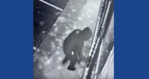 Police attempting to identify suspect who broke into Virginia tobacco and vape shop