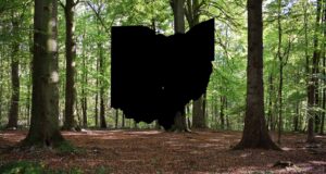 Rarely seen animal spotted in parts of Ohio