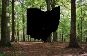 Rarely seen animal spotted in parts of Ohio