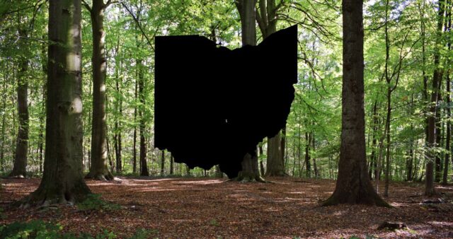 Rarely seen animal spotted in parts of Ohio