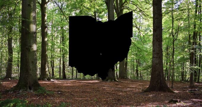 Rarely seen animal spotted in parts of Ohio