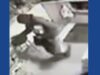 Police attempting to identify burglary suspect in Kentucky
