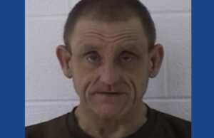 Man arrested after calling police for non-existent intruders in Ohio, admits to consuming mushrooms