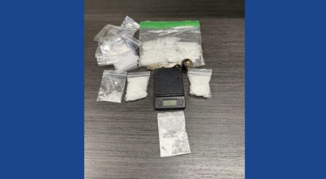 Stolen property investigation leads to drug bust in Tennessee