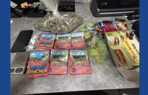 One person arrested following drug bust in Georgia