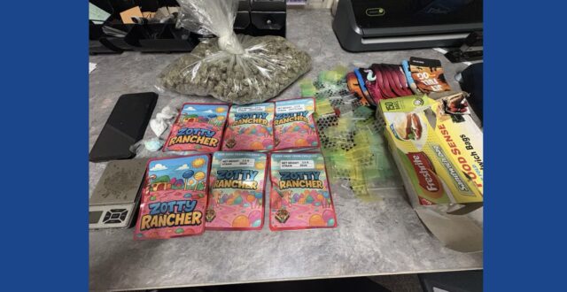 One person arrested following drug bust in Georgia