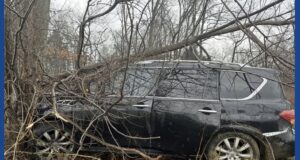 Multiple people injured after vehicle strikes tree on I-65 in Kentucky