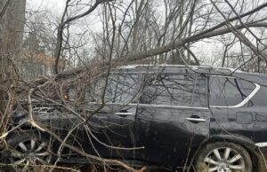 Multiple people injured after vehicle strikes tree on I-65 in Kentucky