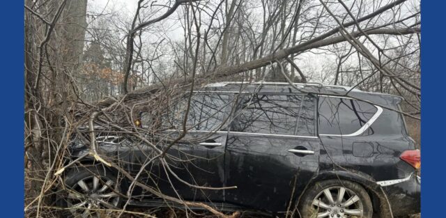 Multiple people injured after vehicle strikes tree on I-65 in Kentucky